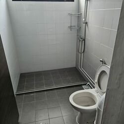 Blk 807 Tampines Polyview (Tampines), HDB 4 Rooms #586149401